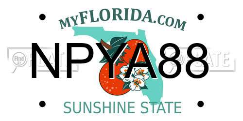 NPYA88 Florida License Plate