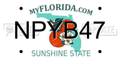 NPYB47 Florida License Plate