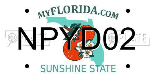 NPYD02 Florida License Plate