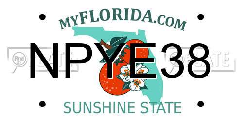 NPYE38 Florida License Plate