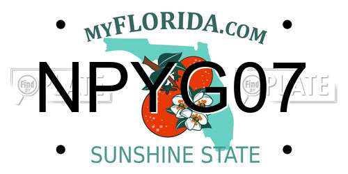 NPYG07 Florida License Plate