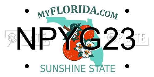 NPYG23 Florida License Plate