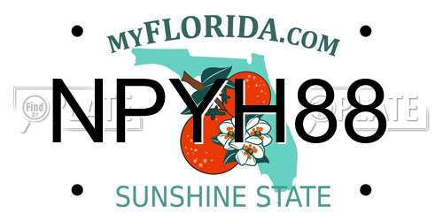 NPYH88 Florida License Plate