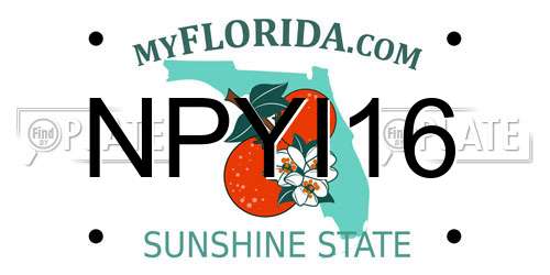 NPYI16 Florida License Plate