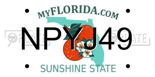 NPYJ49 Florida License Plate
