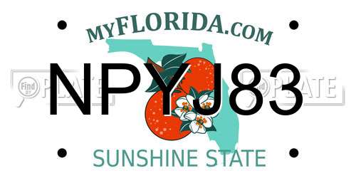 NPYJ83 Florida License Plate