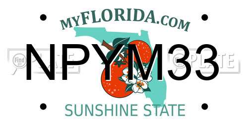 NPYM33 Florida License Plate