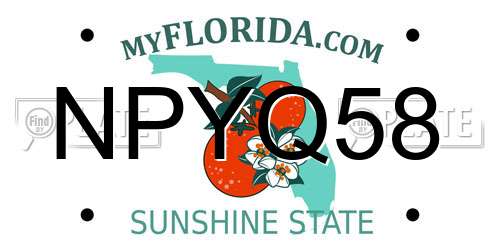 NPYQ58 Florida License Plate
