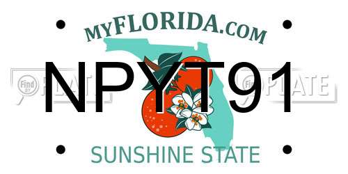 NPYT91 Florida License Plate