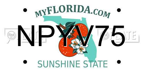 NPYV75 Florida License Plate