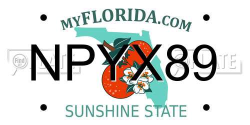 NPYX89 Florida License Plate