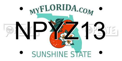 NPYZ13 Florida License Plate