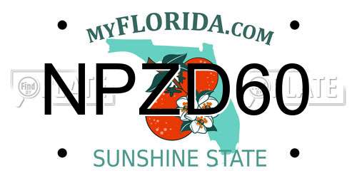 NPZD60 Florida License Plate