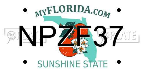 NPZF37 Florida License Plate