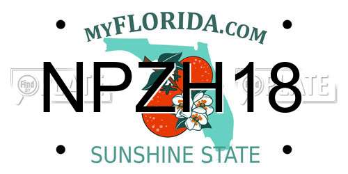 NPZH18 Florida License Plate