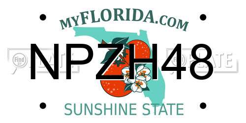 NPZH48 Florida License Plate