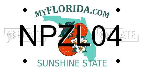 NPZL04 Florida License Plate