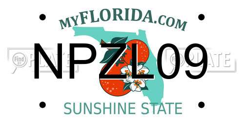 NPZL09 Florida License Plate