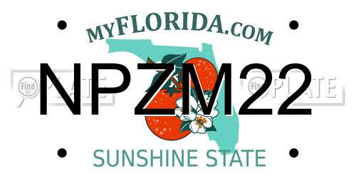 NPZM22 Florida License Plate