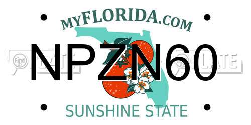 NPZN60 Florida License Plate