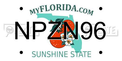 NPZN96 Florida License Plate