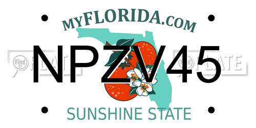 NPZV45 Florida License Plate