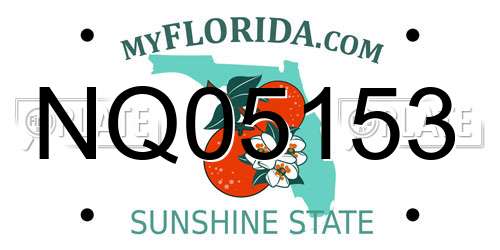 NQ05153 Florida License Plate