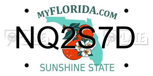 NQ2S7D Florida License Plate
