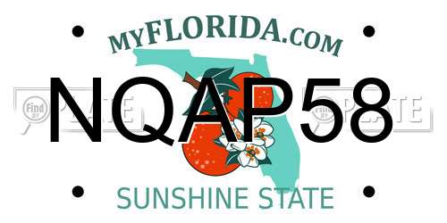 NQAP58 Florida License Plate