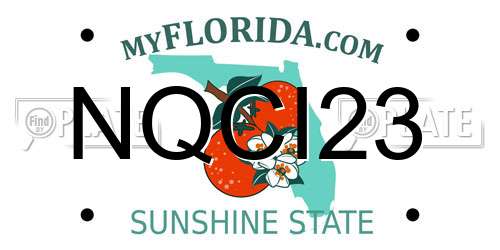 NQCI23 Florida License Plate