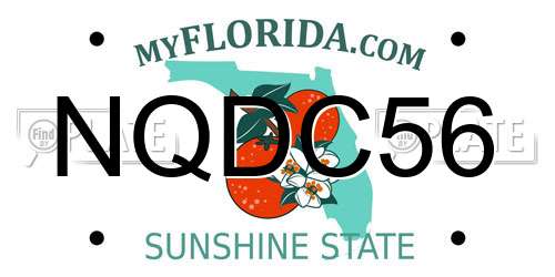 NQDC56 Florida License Plate