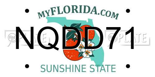 NQDD71 Florida License Plate
