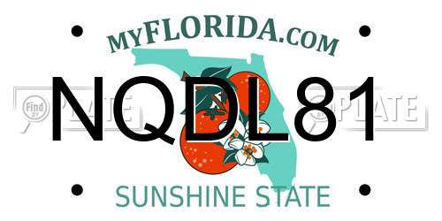 NQDL81 Florida License Plate