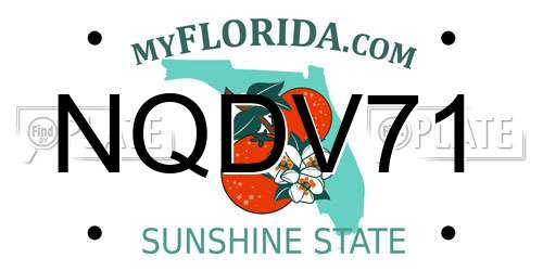 NQDV71 Florida License Plate