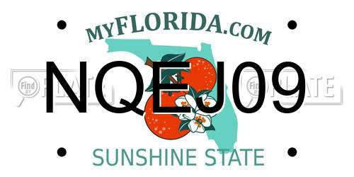 NQEJ09 Florida License Plate