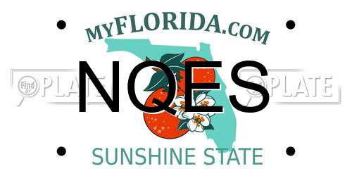 NQES Florida License Plate