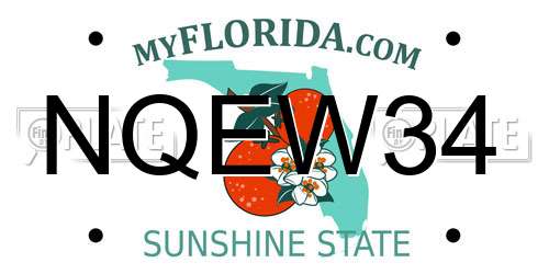 NQEW34 Florida License Plate