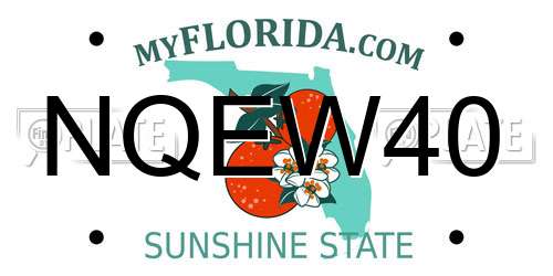 NQEW40 Florida License Plate