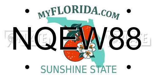 NQEW88 Florida License Plate
