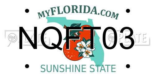 NQFT03 Florida License Plate