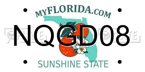 NQGD08 Florida License Plate