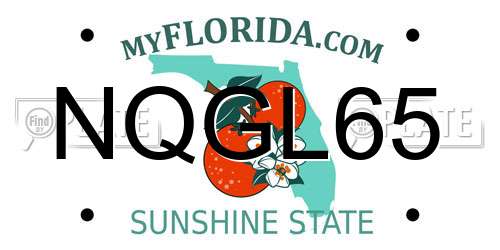 NQGL65 Florida License Plate