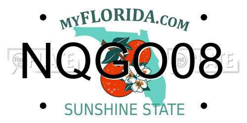 NQGO08 Florida License Plate