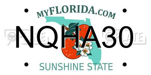 NQHA30 Florida License Plate