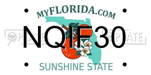 NQIF30 Florida License Plate