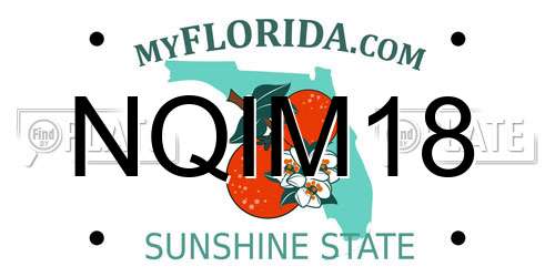 NQIM18 Florida License Plate
