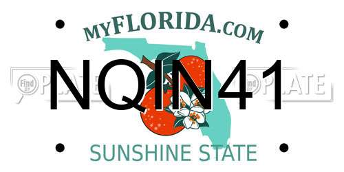 NQIN41 Florida License Plate