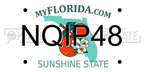 NQIP48 Florida License Plate