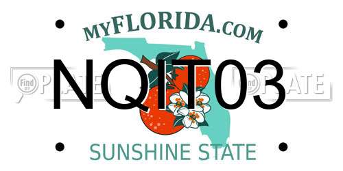 NQIT03 Florida License Plate