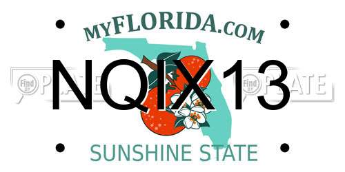 NQIX13 Florida License Plate